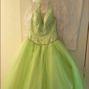 Prom/Quinceanera dress